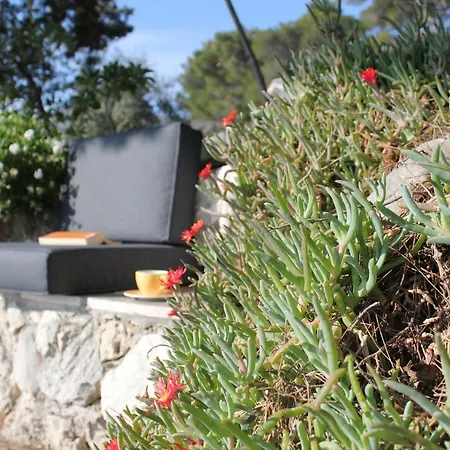 Dream View Penthouse With Jacuzzi Apartment Hvar Town